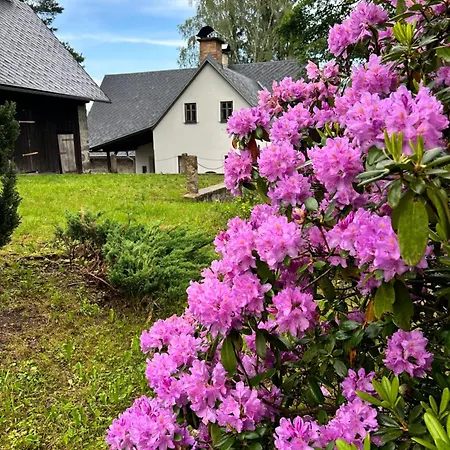 Chalet Roubenka Knoflik Jablonec nad Nisou