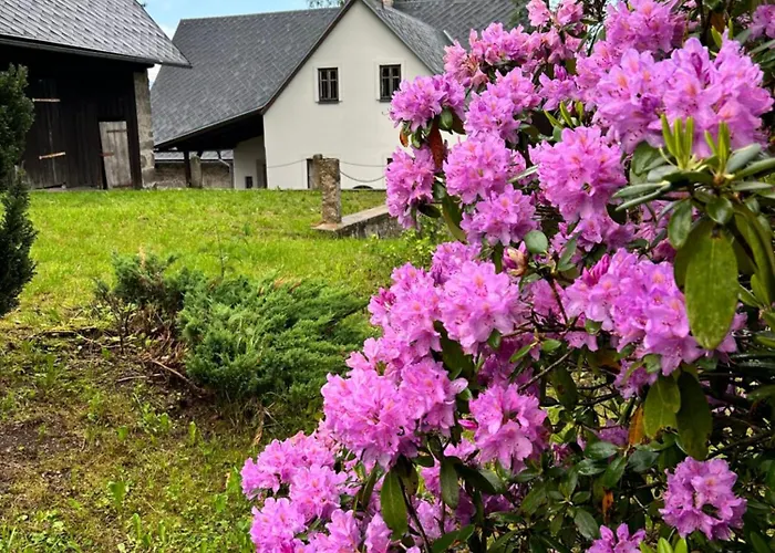 Chalet Roubenka Knoflik Jablonec nad Nisou